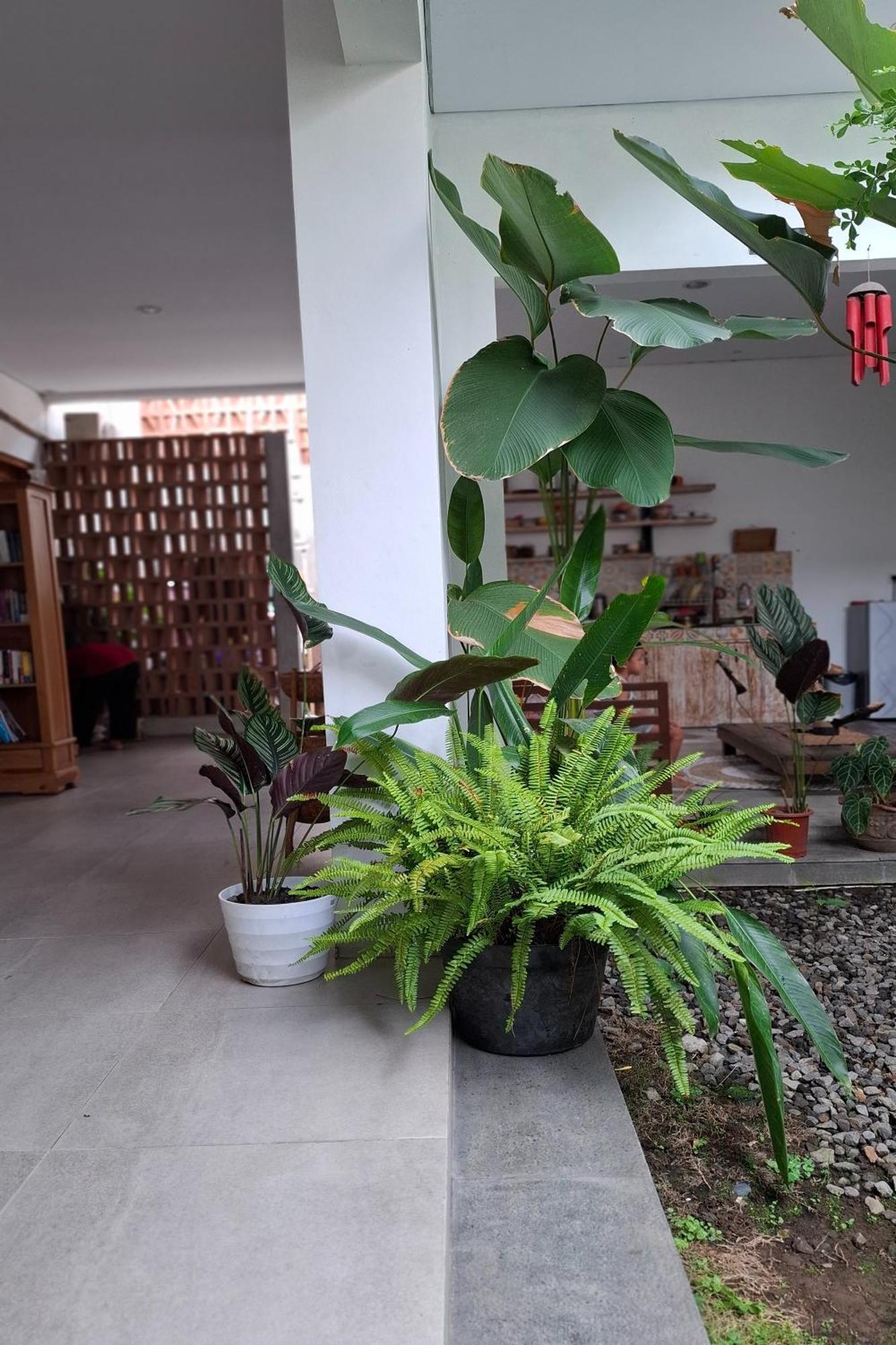 Bring In House Yogyakarta Apartamento Exterior foto